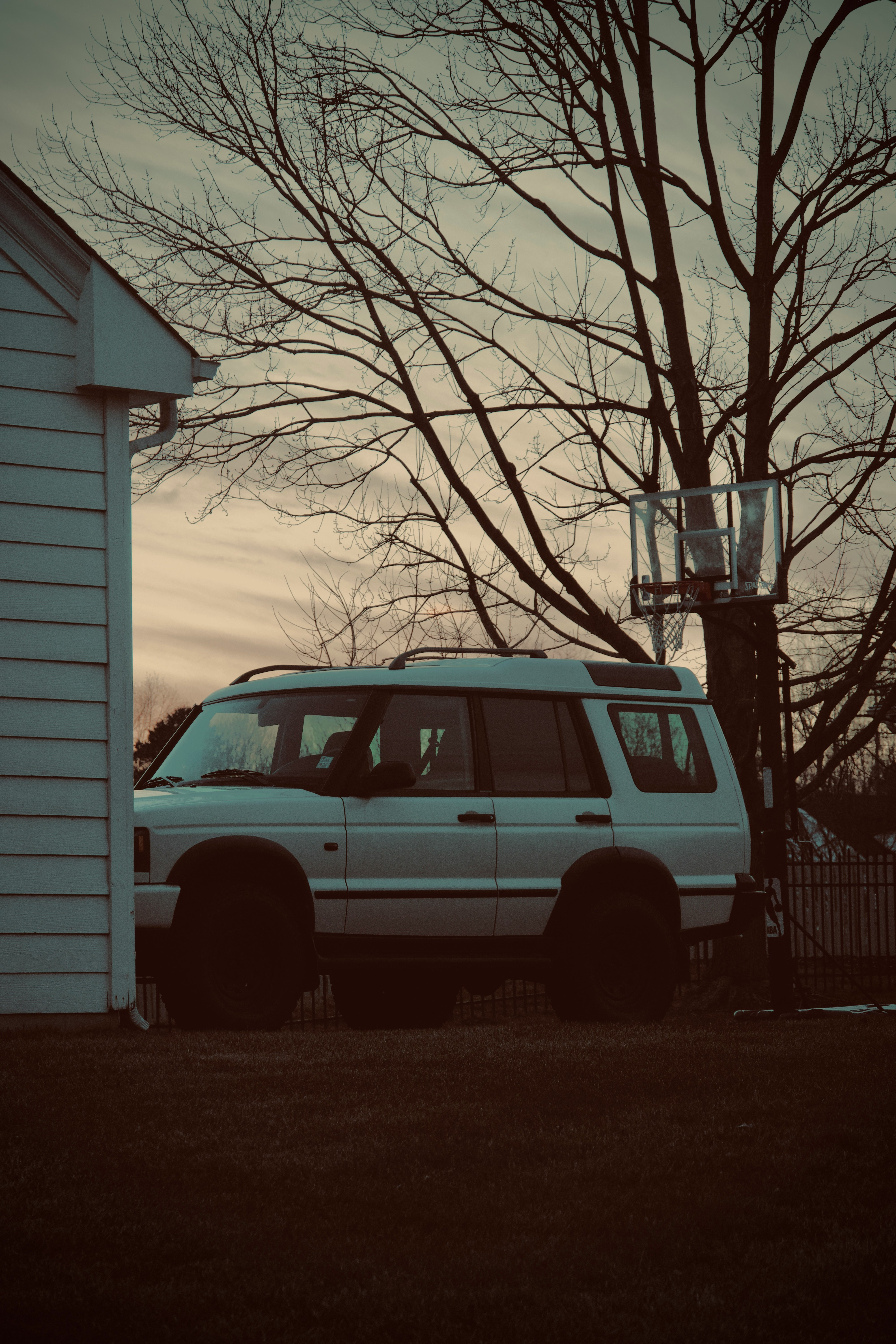 white suv parked beside bare tree during daytime